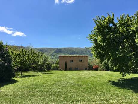 Domaine de la Bastidonne - Mas des Lavandes