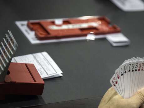 Bridge and Scrabble friendly games