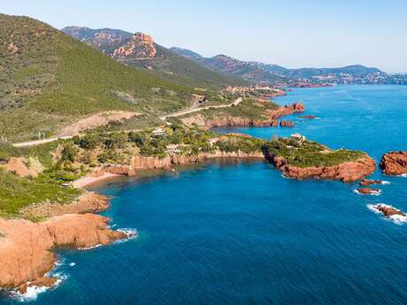 L'hiver en Estérel Côte d'Azur : entre carnavals et mimosa