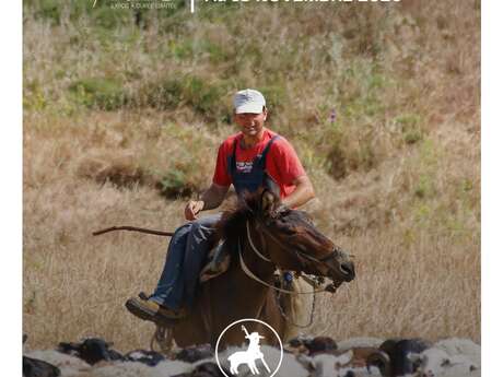 Les Éphémères : Lemnos, l'île aux moutons