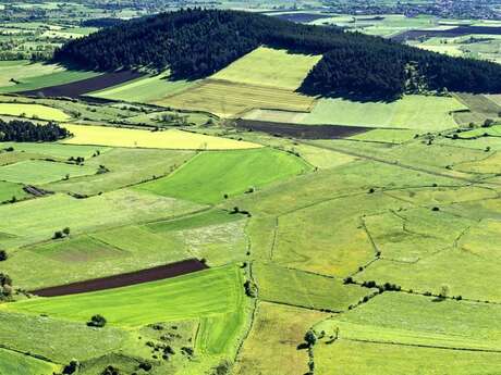 The Bois de Parapin - Parapin wood (trail route no. 1)