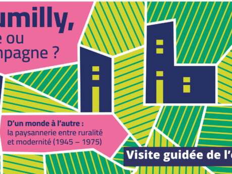 Nuit Européenne des musées - Visite guidée de l’exposition « Rumilly, ville ou campagne ? »