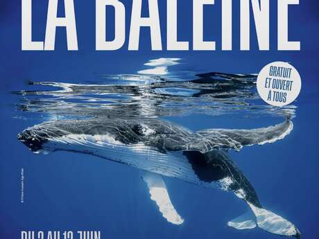 La Baleine