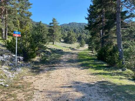 Parcours Découverte Trail Gréolières 1400