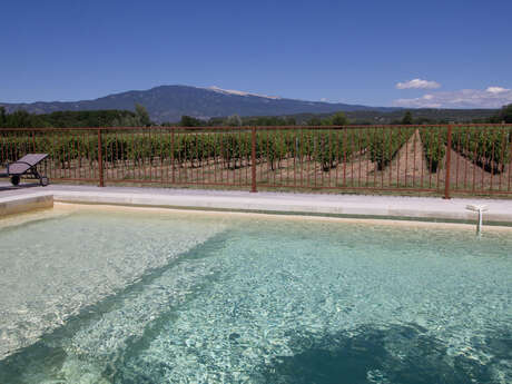 Château La Croix des Pins - Le Ventoux