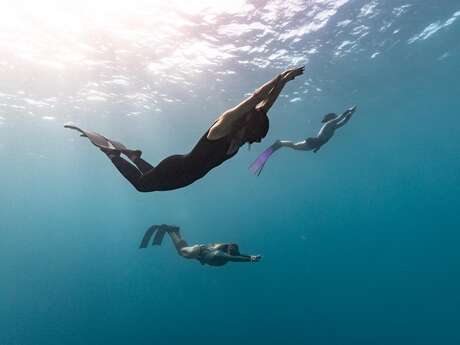 Freediving Moorea - Marine GROSJEAN