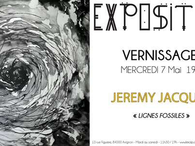 Exposition "Lignes fossiles"
