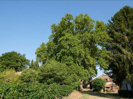 Permanence de conseils en architecture, paysage & urbanisme • La Celle