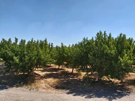 Chez Simon - GAEC GARFAGNINI