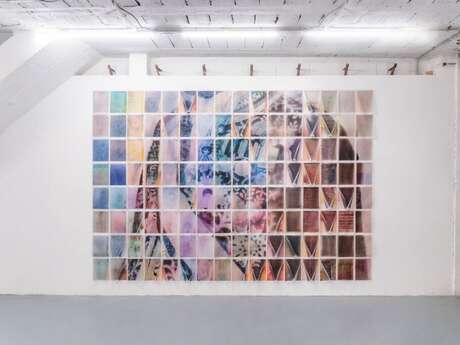 The Shameful Chrysanthemum II