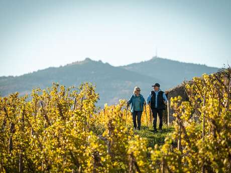 Rando Wine at Domaine Anthony Paret