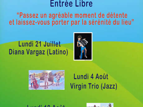 Concert pique-nique