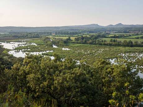 FONTVIELLE - Des Alpilles à la Camargue à vélo