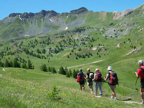 Mountain Guides' Office