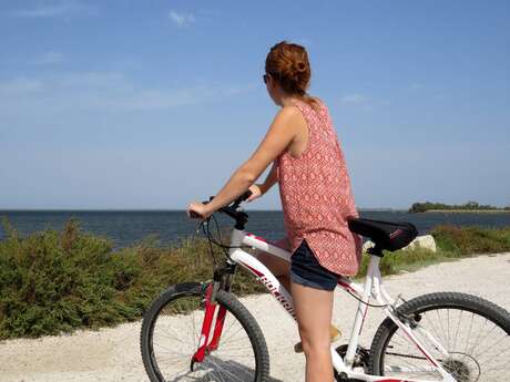 Discovering Vaccarès by bike