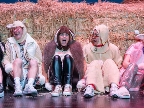 Théâtre : "Foutue Bergerie" - Pierre Guillois