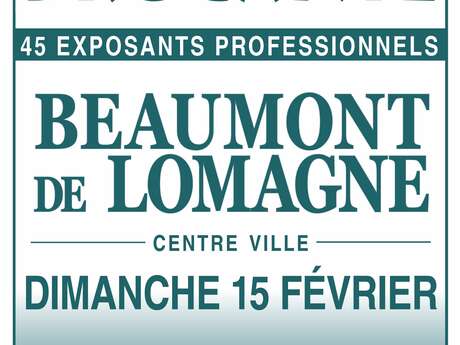 Brocante / Antiquités