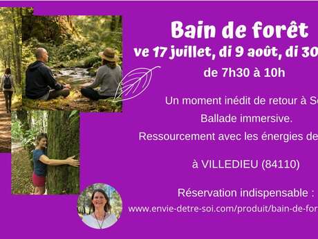 Bain de forêt expérience sensorielle de retour à Soi  -  Envie d'être soi