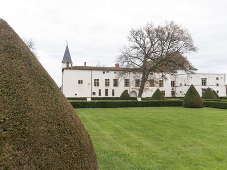 Rendez-vous aux jardins - Rencontre avec le jardinier - D'un buis à l'autre : conversation entre lames et feuillages
