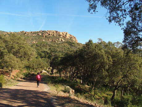 Randonnée : De Roussivau au Perthus