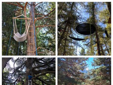 La grimpe encadrée dans les arbres