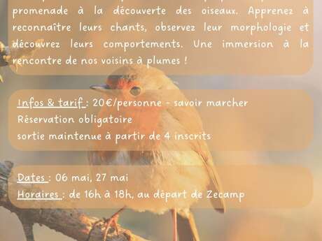 Sortie oiseaux - Sortie nature Zecamp