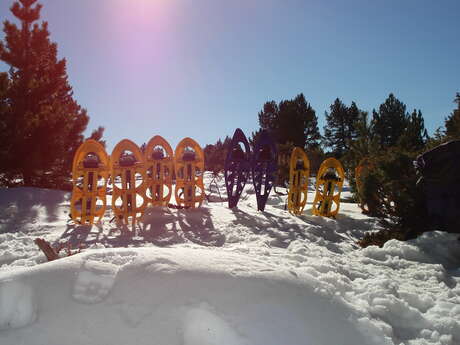 Raquettes et construction d'Igloo avec la Maison de la Montagne