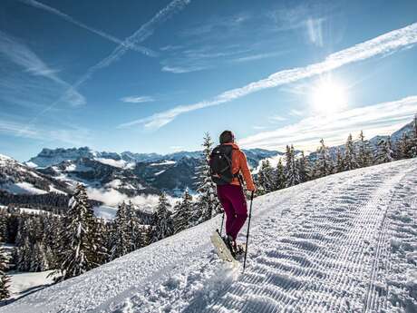 Snowshoe trail - Balcon de Châtel
