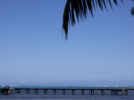 TEKEHANI LODGE MOOREA - Fare Mirimiri