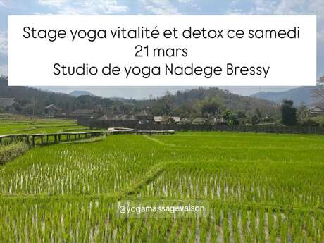 Stage Yoga vitalité et détox - Nadège Bressy