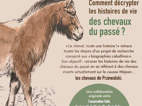 Le cheval, toute une histoire !
