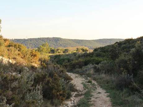 Domaine de Vautubière