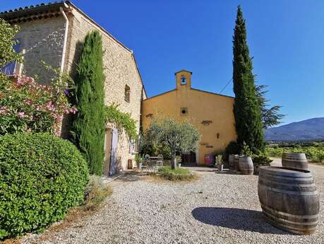 Cellar and vineyard tour - Domaine le Van