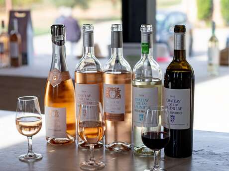 Château de la Galinière - Immersion vignes et vins