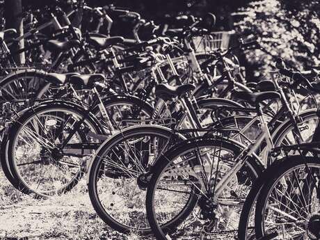 Bourse aux vélos et articles de sport