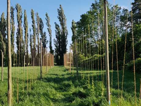 La micro-brasserie de la ferme Mas Ribelly émoustille les papilles !