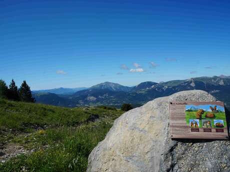 Sentier thématique du plateau de la Chau