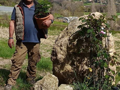 Visite de la passion - pivoines et FEUILLAGE - Chemins parfumés UNESCO