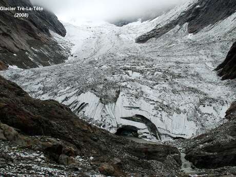 À la découverte des glaciers