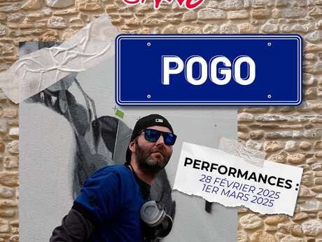 Performance Pogo