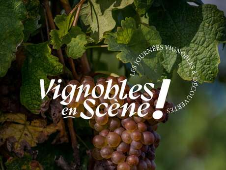 Séjour spécial "Vignobles en Scène"