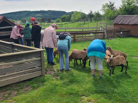 Mini-ferme & mini-kermesse - Miellerie la Grange aux Abeilles