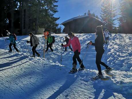 Feestelijke raquettes