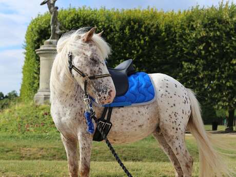 Epona Club Nature
