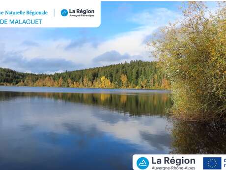 Balade "tissons des liens avec les araignées"