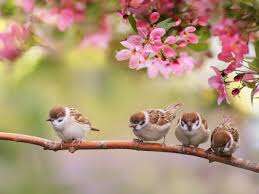 Atelier bien-être de l'été