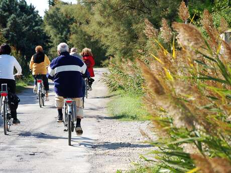 ARLES - Le chemin des taureaux à vélo