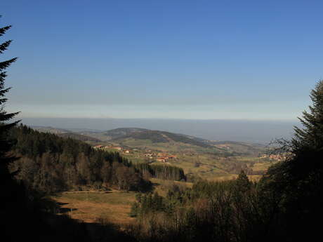 Le Vallon du Cotayet - PR 14 - VTT