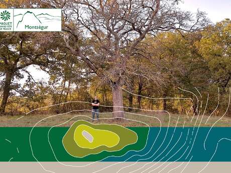 Des forêts et des agroforêts, quelles interactions avec les hommes ?