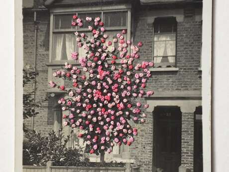 Broderie sur photo · végétalisons la ville